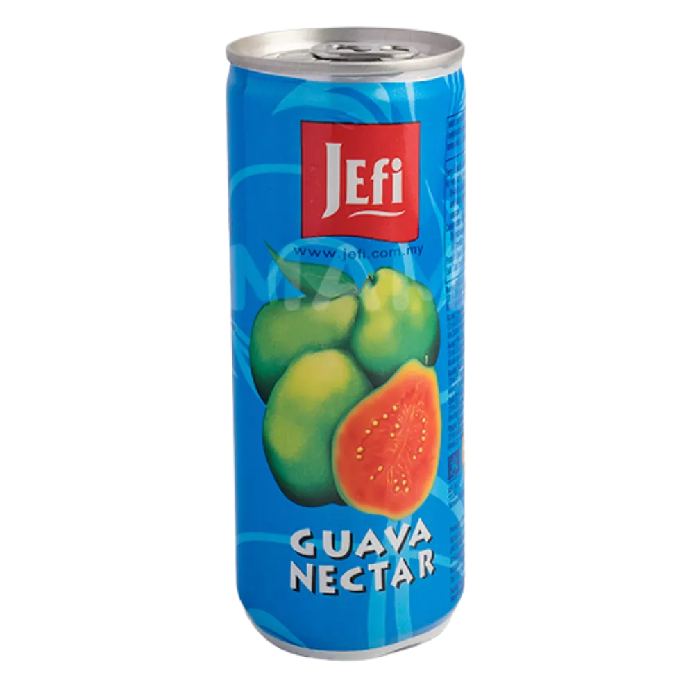 JEFI Guavensaft Ds 250ML